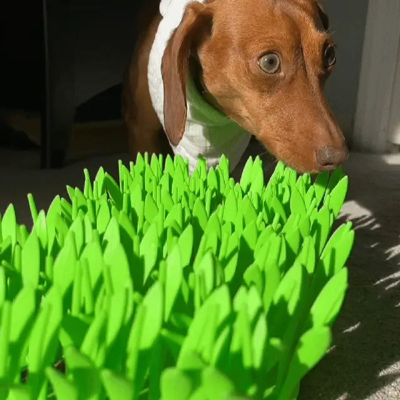 The Lawn Lick™ Enrichment Mat