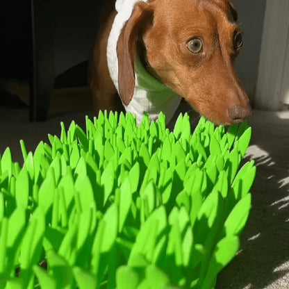 The Lawn Lick™ Enrichment Mat