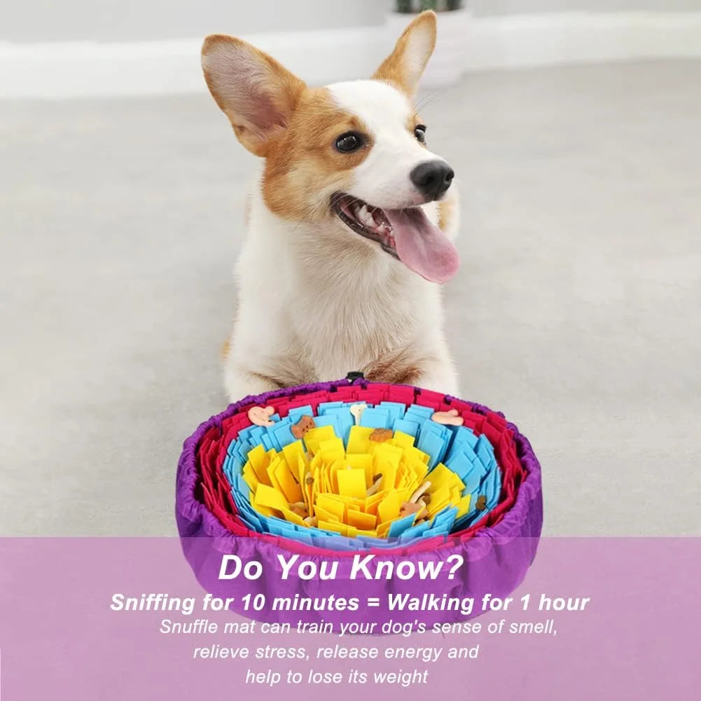 Snuffle Mat for All Breeds Dogs, Interactive Washable Foraging Mat for Slow Eating and Mental Stimulation (Yellow Blue Purple)
